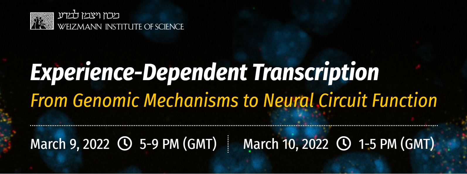 Experience-dependent transcription connecting genomic mechanisms to neural circuit plasticity