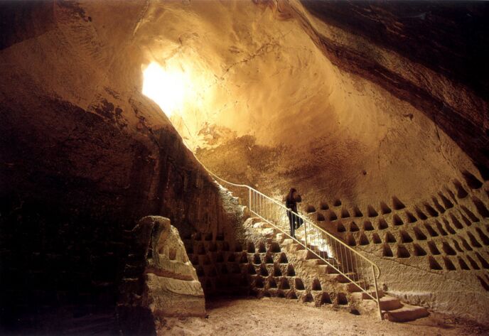WIS Culture - Day trip to Beit Guvrin 30.9.22